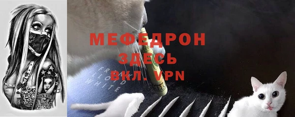 гидра Каменногорск