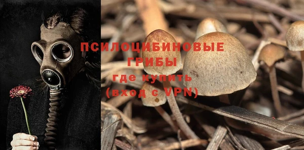 эйфоретик Балахна