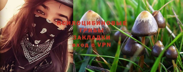 эйфоретик Балахна